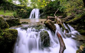 Forest Waterfall Wide Desktop Background