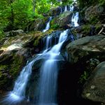 ---forest-waterfall-wallpaper-8915