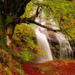 Forest Waterfall Wide Desktop Background