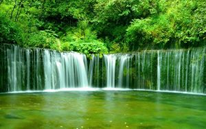 ---green-forest-waterfall-9433