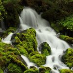 ---moss-waterfall-15831