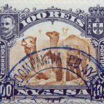 nyassa 100 reis correios portugal 1901 sapiabraun olive brown bistre camel stamp