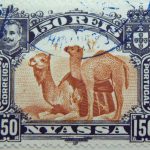 nyassa 150 reis correios portugal 1901 rotlichbraun red brown brun jaune camel stamp