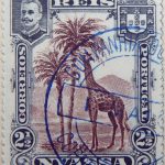 nyassa 2 half reis correios portugal 1901 lilabraun brown brun rouge giraffe stamp