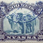 nyassa 200 reis correios portugal 1901 blaugrun blue green vert blue camel stamp