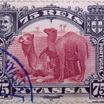 nyassa 75 reis correios portugal 1901 weinrot lake carmin camel stamp