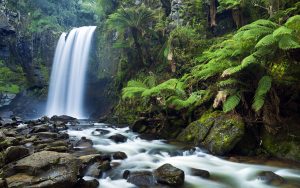 Hopetoun Falls, Victoria, Australia