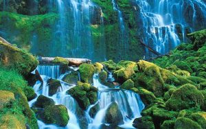 ---tropical-waterfall-pictures-12564