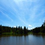 lake green forest blue sky