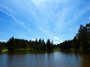 lake green forest blue sky