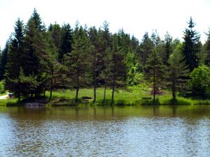 rakitna jezero