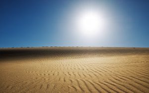 27 02 17 desert landscape background5228