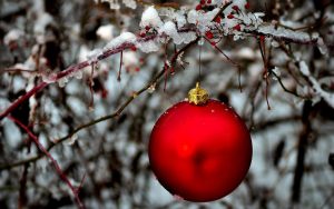 christmas ornaments in the snow 14056