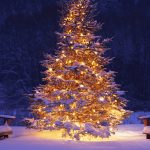 christmas tree wallpaper 7752