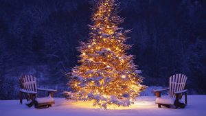 christmas tree wallpaper 7752