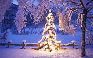 christmas tree wallpapers 7753