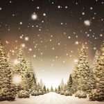 christmas trees wallpaper p 7754