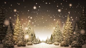 christmas trees wallpaper p 7754