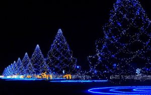 christmas wallpapers 869