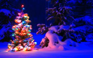 christmas wallpapers 882