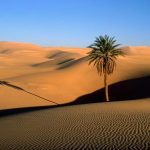 desert wallpapers 940