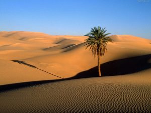 desert wallpapers 940