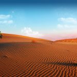 desert wallpapers 945