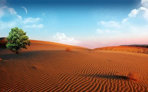 desert wallpapers 945