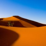 desert wallpapers 946