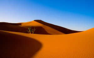 desert wallpapers 946