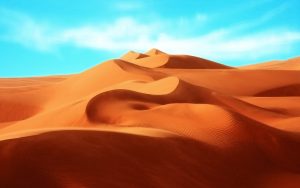 desert wallpapers 954