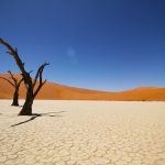 namib desert 3844x2563 coastal desert 4k 5840