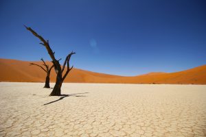 namib desert 3844x2563 coastal desert 4k 5840