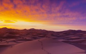 sand dunes illuminated at sunrise, erg chebbi, sahara desert, morocco