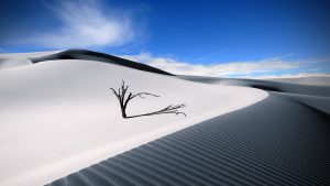 white desert sand 12893